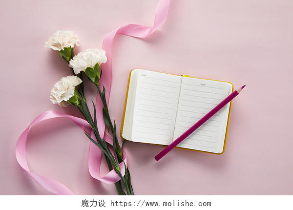 鲜花花朵丝带环绕的花朵康乃馨笔记本在纯色背景纸上的场景素材教师节配图
